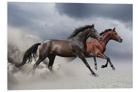 Quadro em PVC Cavalos na tempestade