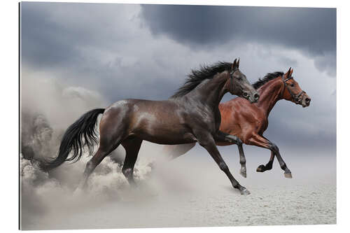 Gallery print Horses in the storm