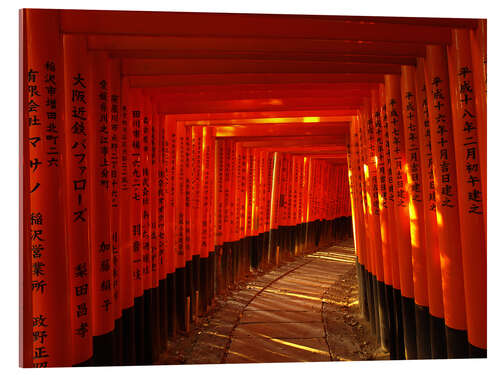 Acrylglasbild Torii-Weg des Fushimi Inari-Taisha