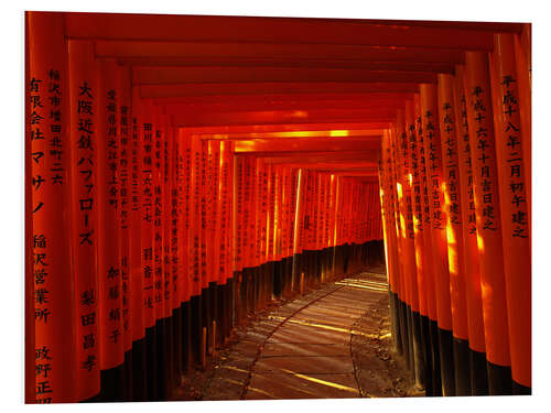 Tableau en PVC Sentier des Torii au sanctuaire de Fushimi Inari