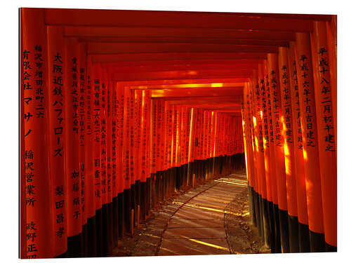 Gallery print Torii pathway at Fushimi Inari Shrine