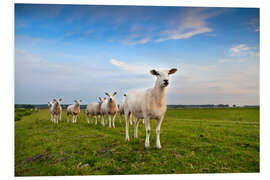 Foam board print Sheep on the dike