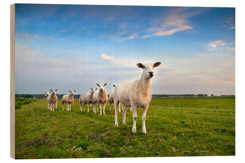 Wood print Sheep on the dike