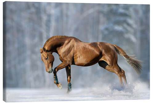 Leinwandbild Pferd im Schnee