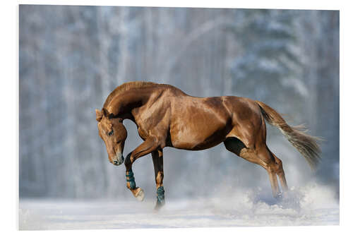 Quadro em PVC Horse in snow