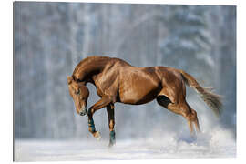 Galleriprint Horse in snow