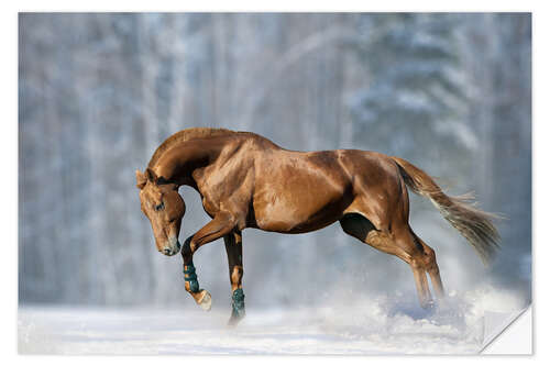 Sticker mural Cheval dans la neige