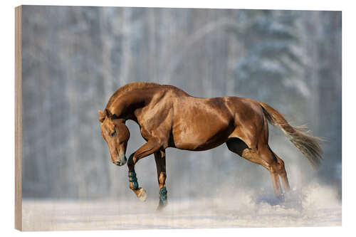 Wood print Horse in snow