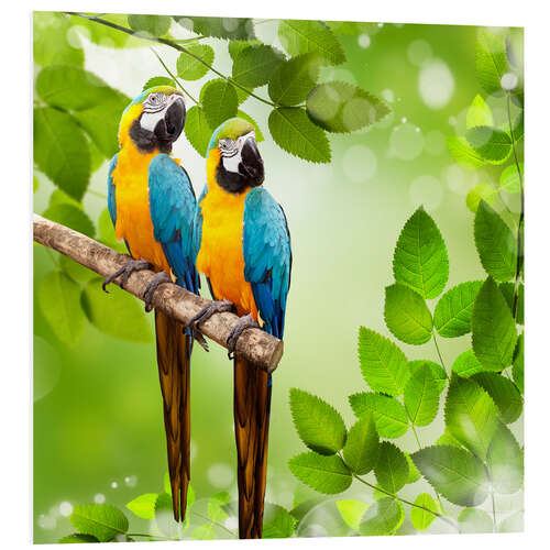 Foam board print Two Macaw Parrots