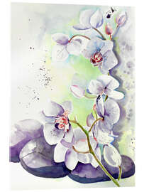 Acrylglasbild  Orchideen - Maria Földy