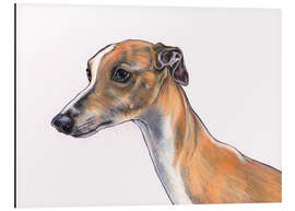 Obraz na aluminium Whippet portrait