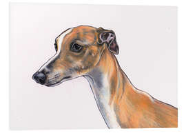 Foam board print Whippet portrait