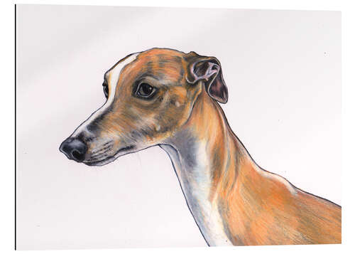 Gallery print Whippet portrait