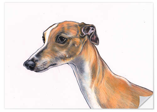 Vinilo para la pared Whippet portrait, Fawn whippet, dog illustration