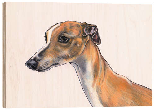 Tableau en bois Whippet portrait, Fawn whippet, dog illustration