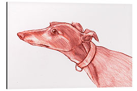 Tableau en aluminium Greyhound pencil drawing white and red colour pencil sketch