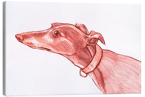 Canvas print Greyhound pencil drawing white and red colour pencil sketch