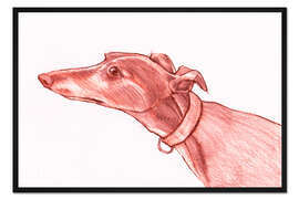 Gerahmter Kunstdruck Windhund Bleistiftzeichnung weißen und roten Farbe Bleistiftskizze