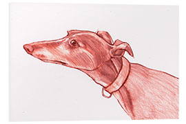 Foam board print Greyhound pencil drawing white and red colour pencil sketch