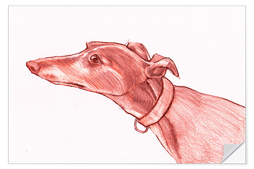 Wall sticker Greyhound pencil drawing white and red colour pencil sketch