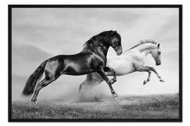 Gerahmter Kunstdruck Pferde Schwarz/Weiß