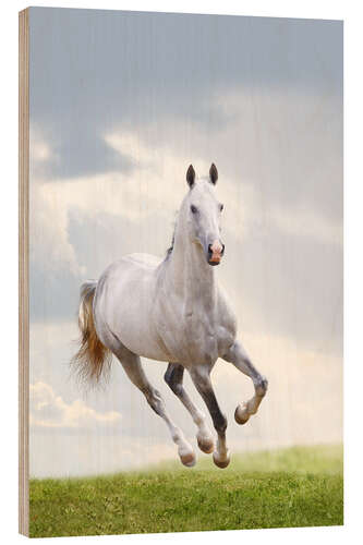 Tableau en bois Étalon blanc au galop