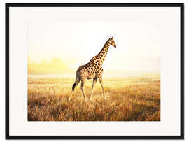 Gerahmter Kunstdruck Der Sonne entgegen