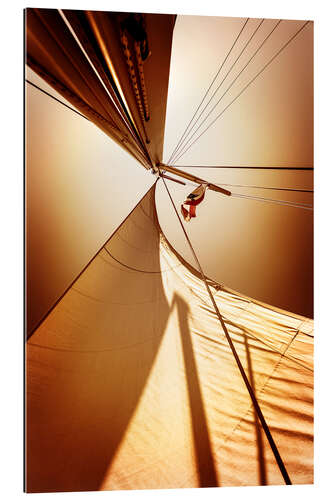 Gallery print Sail in the wind I