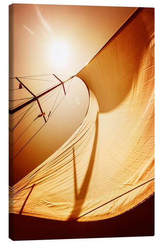 Canvas print Sail in the wind II