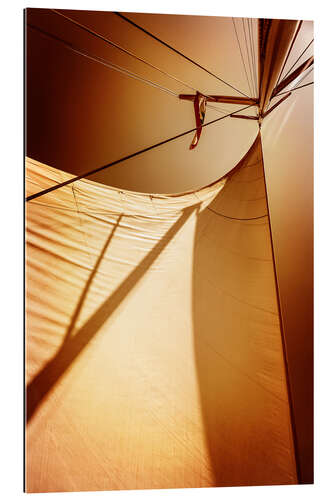 Gallery print Sails in sunset light