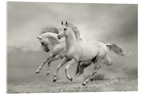 Acrylic print Horses in Summer