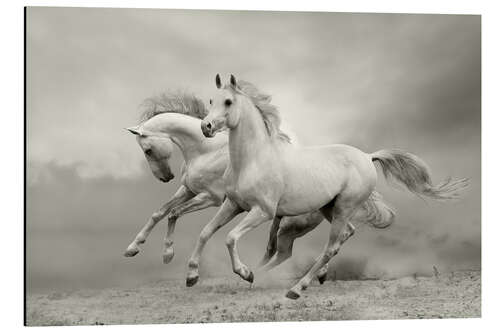 Aluminiumtavla horses in summer