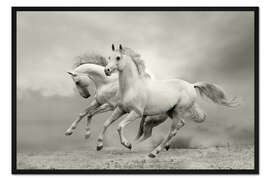 Gerahmter Kunstdruck Pferde im Sommer