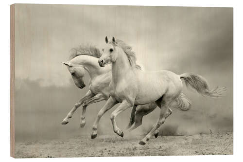 Wood print Horses in Summer