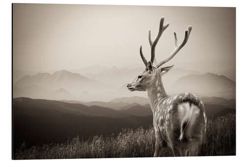 Alumiinitaulu Stag in the mountains