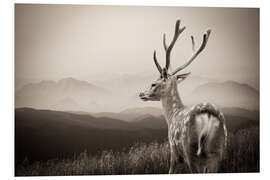 Foam board print Stag in the Mountains