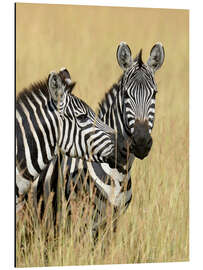 Magnettafel Zebra-Freunde