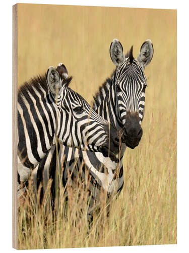 Wood print Zebra friendship