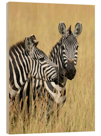 Holzbild Zebra-Freunde