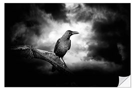Wall sticker Raven in the moonlight