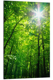 Magnettafel Grüner Himmel