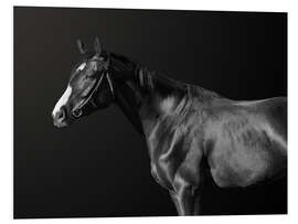 Foam board print Budyonny horse