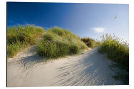 Aluminium print Sand dunes by the Baltic Sea