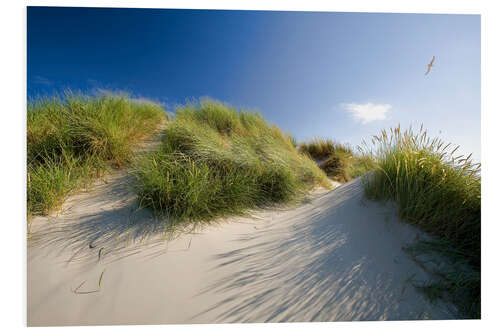 Foam board print Sand dunes by the Baltic Sea