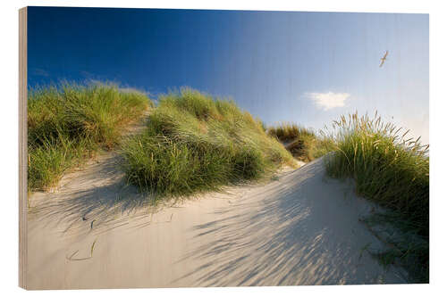 Puutaulu Sand dunes by the Baltic Sea