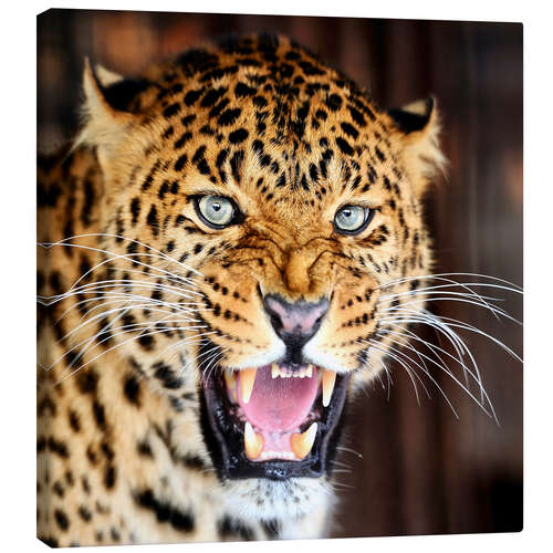 Canvas-taulu Leopard portrait