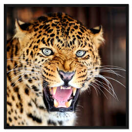 Gerahmter Kunstdruck Leopard-Porträt