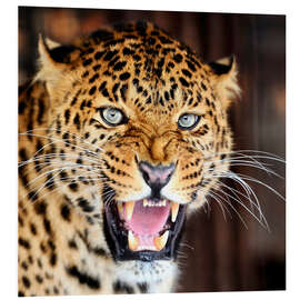 Foam board print Leopard portrait