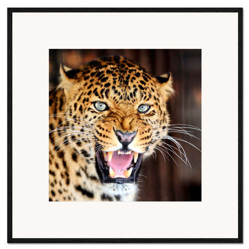 Framed art print Leopard portrait