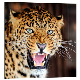 Gallery print Leopard portrait